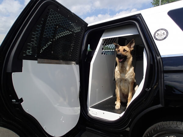 Havis K9-F27-XL | Extended K9 Transport System For 2018-2024 Ford Expedition – White
